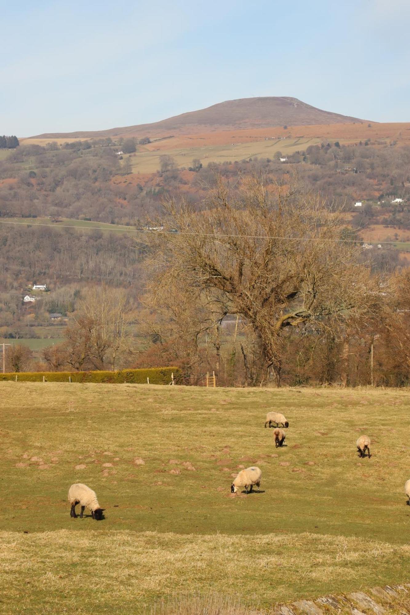 Cowshed In The Black Mountains Abergavenny Bagian luar foto
